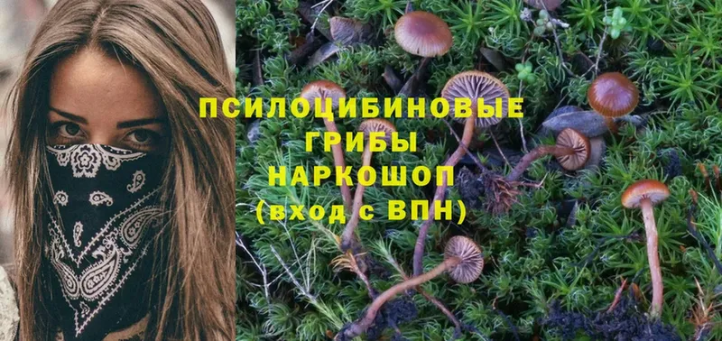 Псилоцибиновые грибы Magic Shrooms  мега   Абинск 